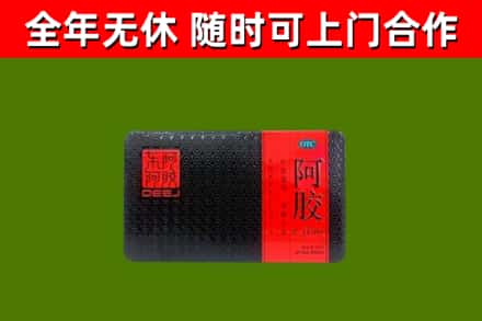 高县区回收阿胶
